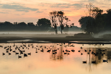 Bourgoyen-Ossenmeersen, Ghent, Belgium