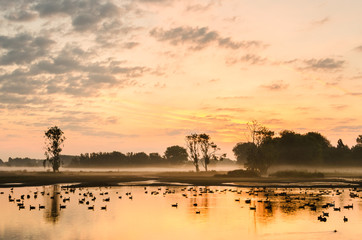 Bourgoyen-Ossenmeersen, Ghent, Belgium