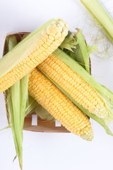Corn cobs with leaves isolated on white background