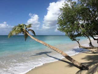 Plage de Guadeloupe