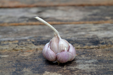 Garlic on the wooden background