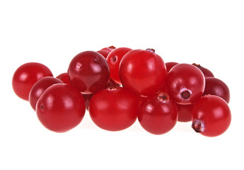 Juicy cranberry isolated on a white background