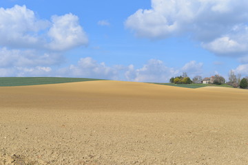 Fototapeta na wymiar Paysage agricole - Gers