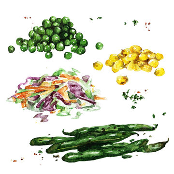 Vegetable sides. Watercolor Illustration. 
