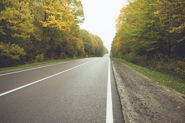 Fototapeta premium Asphalt road through the forest