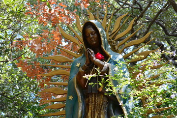 Our Lady of Guadalupe