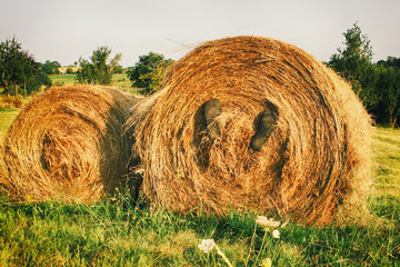 Concours photo : C'est le pied à la campagne !