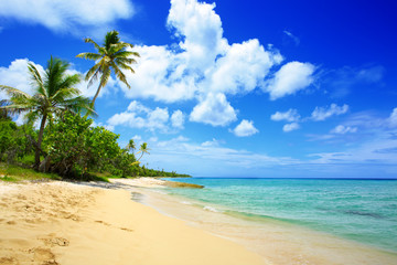Obraz na płótnie Canvas Caribbean sea and white sand beach.