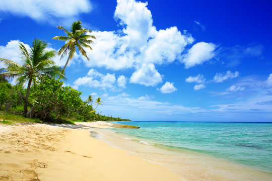 Caribbean sea and white sand beach.