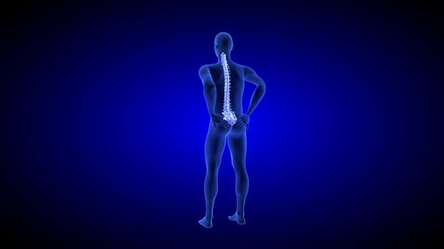 Healthy spine. Spine Pain. Healt Blue Human Anatomy Body 3D scan render on blue background