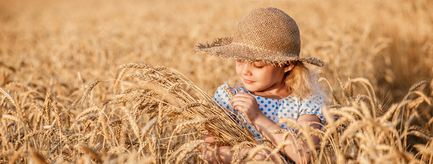Happy child in autumn wheat field - obrazy, fototapety, plakaty