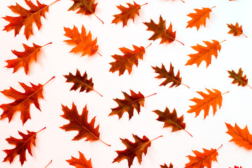 Oak leaf pattern autumn background