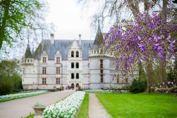 Beautiful old castle in France