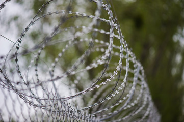 Barbed wire fencing. Protected area