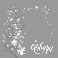 Obraz premium Autumn leaves fall