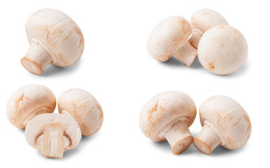 Fresh champignon mushrooms isolated on white background. Set or collection