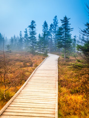 Fototapeta na wymiar Wooden path in peat bog Bozi Dar, Czech Republic. Colorful autumn landscape scene