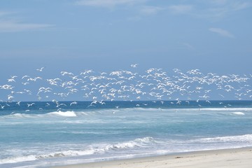 Flying