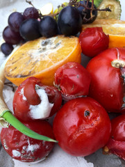 Verschimmelte Tomaten und Obst auf grauem Papier