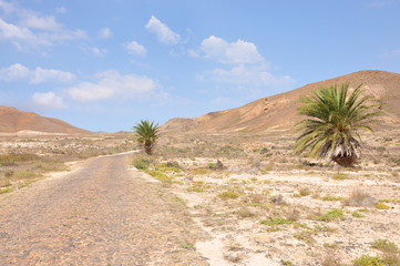 Route pavée désert Boa Vista Cap Vert