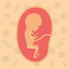 color background pattern pregnancy icons with fetus human growth in placenta trimestrer vector illustration
