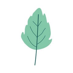 green light color of small lobed leaf plant vector illustration