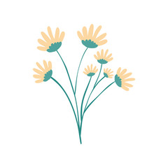 hand drawing yellow color daisy flower bouquet with several ramifications vector illustration