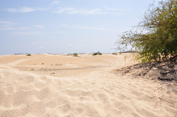 Dûnes et désert Boa vista Cap Vert