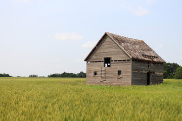 Abandoned farm building in the field. 