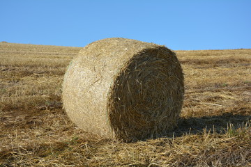 Strohballen auf abgeerntetem Feld mit blauem Himmel