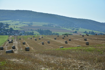 Viele Strohballen liegen in einer Landschaft