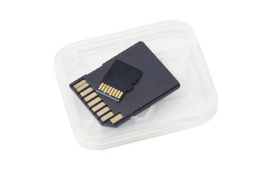 Sd card and micro sd card isolated