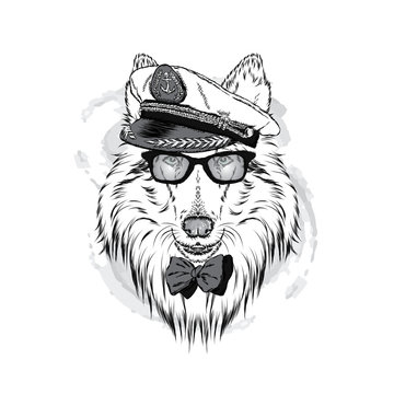 Cute dog in a captain's cap. Charming puppy. Vector illustration. Collie.