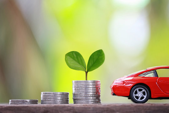 Green Seedlings tree grow on coin money of graph business and red car.