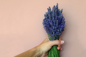 Man's hand holding a bouquet of lavender against a pink wall background. Copy space