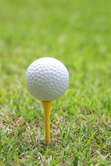 Golf ball on wooden golf tee.