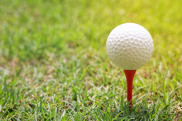 Golf ball on wooden golf tee.