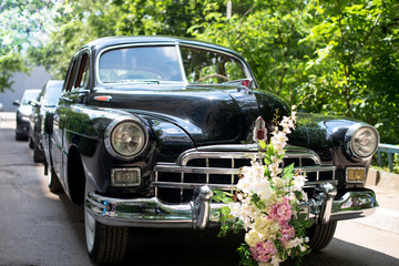 Retro wedding car. Juicy greens in the background Motorcade