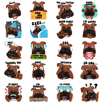 Bulldog Dog Emoji Emoticon Expression