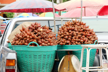 red fresh salacca, zalacca, salak fruit in basket for sale at the fruit market, Thailand.