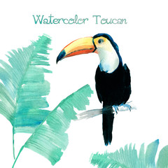 Watercolor Toucan