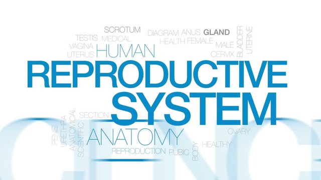 Reproductive system animated word cloud, text design animation. Kinetic typography.
