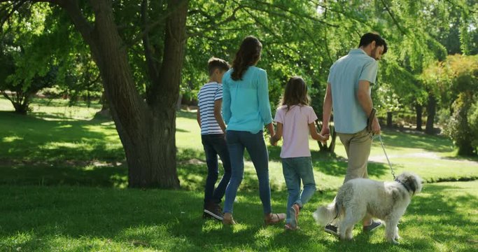 Family walking with their dog in the park on a sunny day
