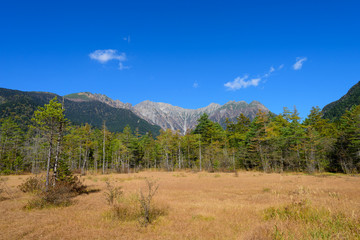 北アルプス　穂高連峰と田代湿原
