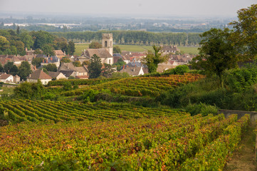 Fototapeta na wymiar Pommard from the vineyards, Burgundy, France