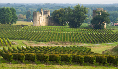 Fototapeta na wymiar Château de Budos, Bordeaux, France