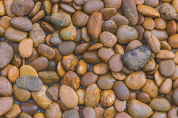 Wet stones dark pebbles with water drops in garden for background