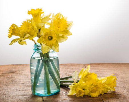 Yellow dafodills in blue jar - Powered by Adobe