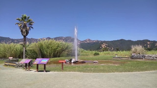 Old Faithful Geyser of California was declared one of only three &ldquo;faithful&rdquo; geysers in the world because of its regular eruptions. 