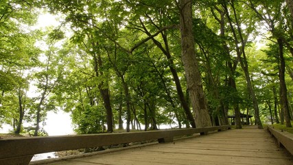 森の中　小さな川の流れ　木製の橋
